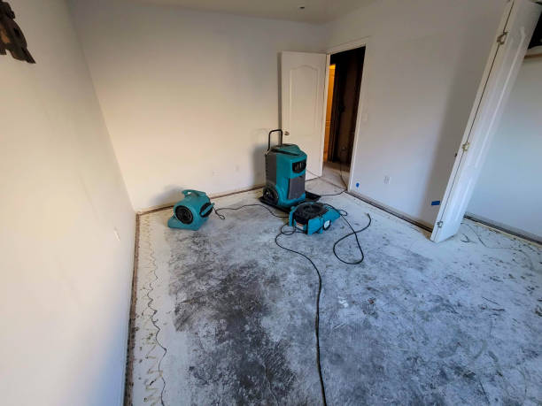 Best Water damage restoration specialists  in Windcrest, TX