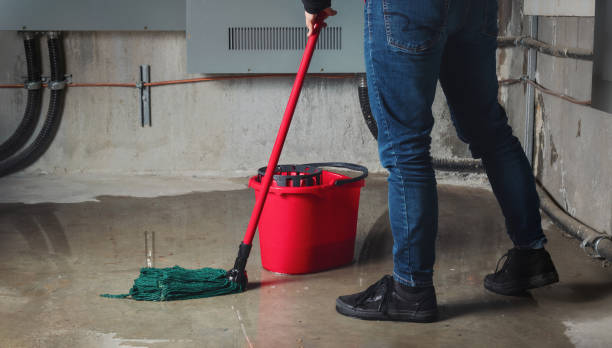 Best Ceiling water damage repair  in Windcrest, TX