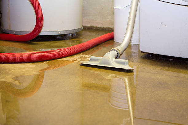  Windcrest, TX Water damage restoration Pros