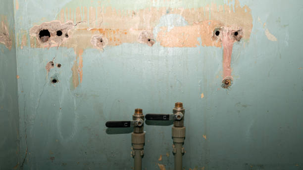 Best Water damage restoration process  in Windcrest, TX